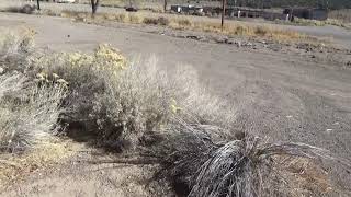 Abandoned Motel, Rural NV Montgomery Pass Casino Fire Area