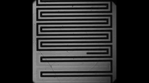 A conductive liquid-based surface acoustic wave device