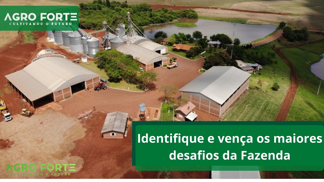 Os Maiores Problemas da Fazenda: Identifique e vença os maiores desafios.