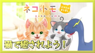 【ネコトモ】凄い癒される猫と戯れるネッシー【ネッシーVtuber】