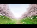 Thanks! - 斉藤由貴