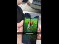 "Anyone else getting this glitch where the Rattata turns into a pokeball?"