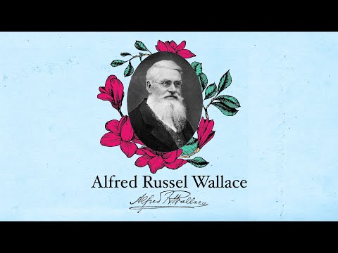 Alfred Russel Wallace คือใคร ?