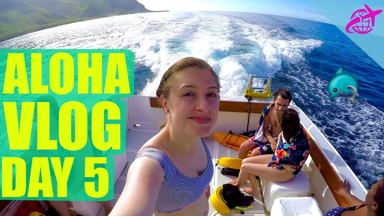 EPIC WILD DOLPHIN SWIM | Oahu, Hawaii