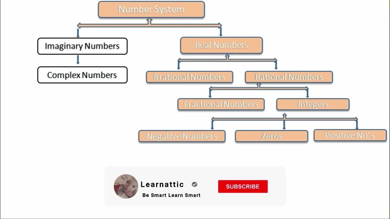 Flowchart of Number System | Number System Flow Chart | Number System ...