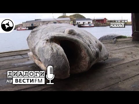 Морские монстры | Диалоги на Вести ФМ