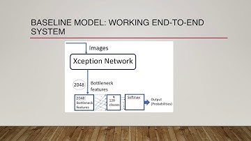 Neural Network: Dog Breed Identification