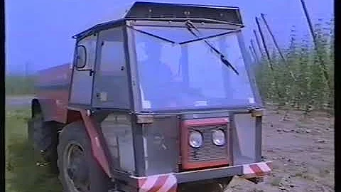 Kde najdeme kořenové hlízky?