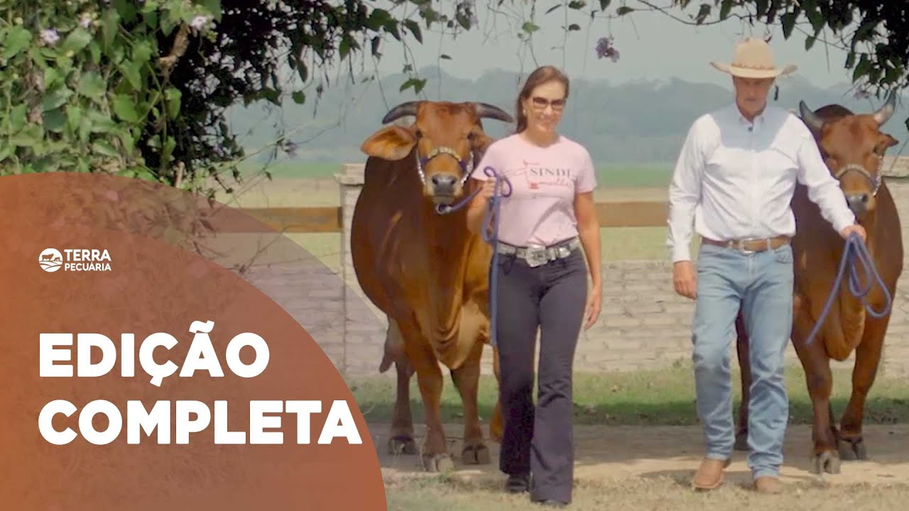 TERRA PECUÁRIA - Edição 17/09/2023