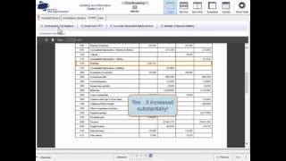 Webinar: Document Review Simulation (DRS) for AUD Walkthrough - Presented by Liz Kolar