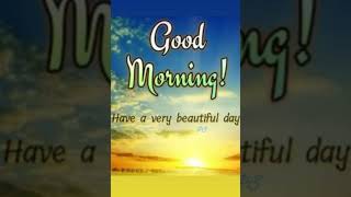 Herb Alpert & Tijuana Brass ~ Tijuana Taxi  💙☀️💙☀️💙
