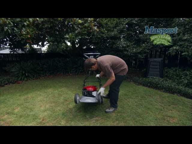 Do You Really NEED A REEL MOWER?? // Masport Rotarola Rear Roller Striping  Lawn Mower 