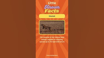 Fastest land animal? #shorts #didyouknow #learnsomethingnew #littleknownfacts
