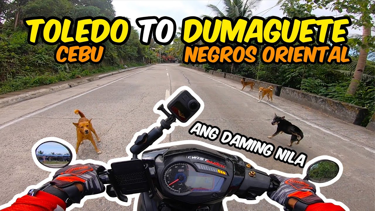 Toledo to Dumaguete via Alegria | Santander-Sibulan RoRo | Part 1/2