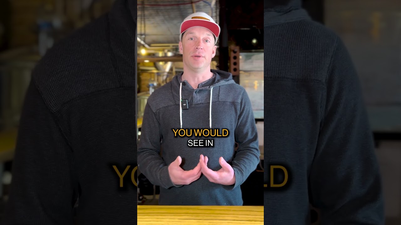 Beer Word of the Day: Flocculation