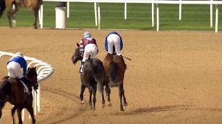 Vidéo de la course PMU UAE 2000 GUINEAS TRIAL