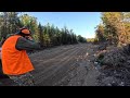 Hunting for ruffed and spruce grouse!