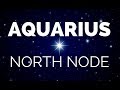 NORTH NODE AQUARIUS (SOUTH NODE LEO) | Karma/Past Lives | Jan Spiller | Hannah's Elsewhere