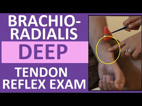 Brachioradialis Deep Tendon Reflex Examination | Nursing Head To Toe Assessment