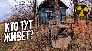 видео: Нашел дом чернобыльского отшельника в заброшенной деревне. Как мы добываем еду в Зоне Отчуждения? картинка: Нашел дом чернобыльского отшельника в заброшенной деревне. Как мы добываем еду в Зоне Отчуждения?