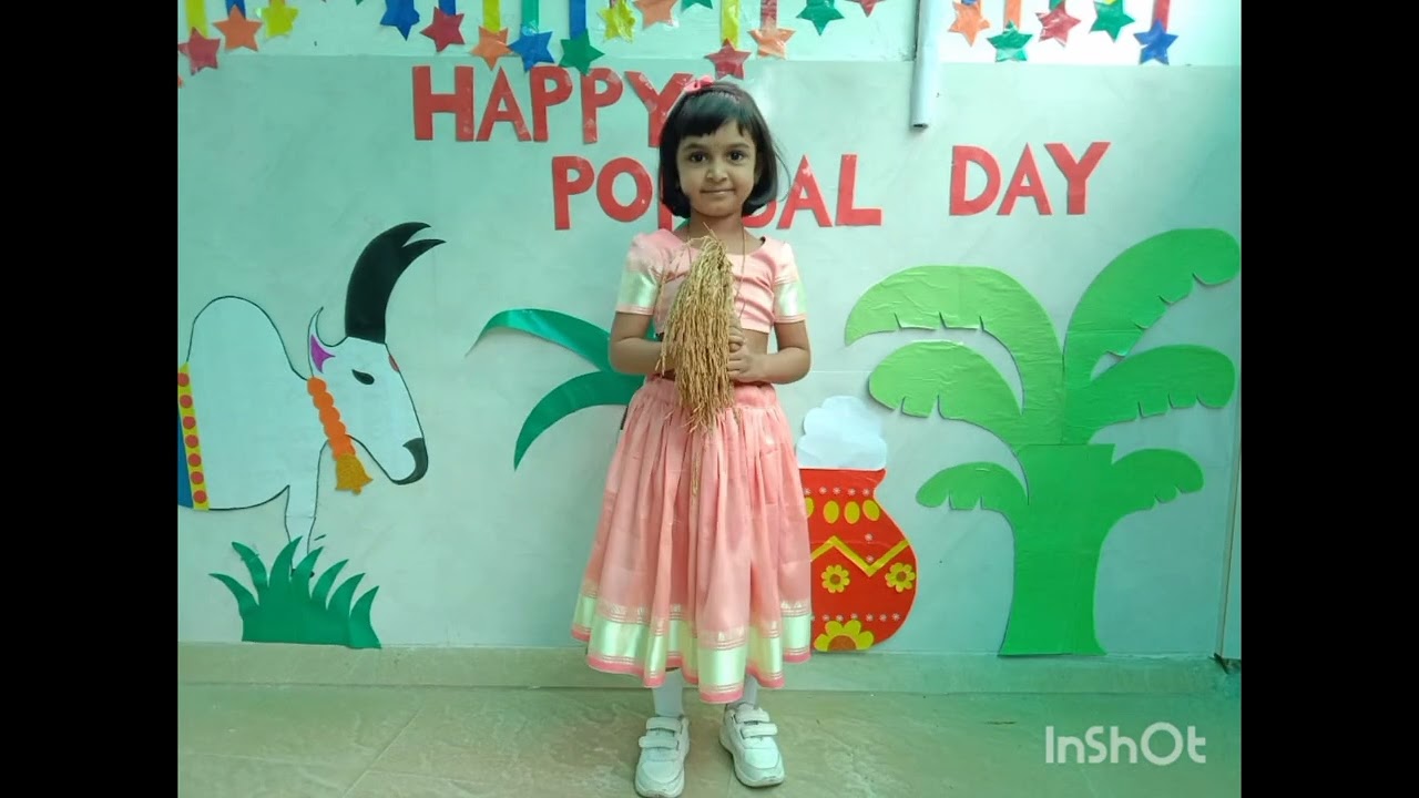 Thaipongala celebration 2026