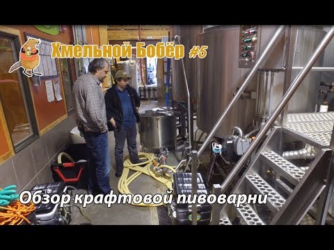 Видео: 5 най-добри пивоварни Okie според експерт по бира в Оклахома