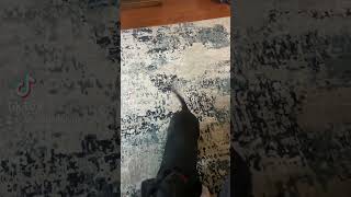 New Foster Dog Hans Showed Me His Trick For Getting Snacks