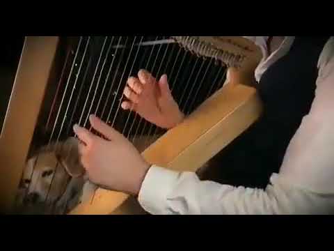 دهشة الموسيقى وشهقة الصدى