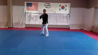 Hapkido 1st Degree Black Belt Chapter 1 Kicking Combination - LeeHan Martial Arts