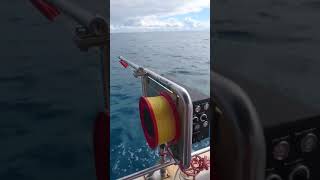 Electric Fishing Reel