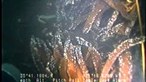 C0212SC_Tape22v.noaudio.mpg