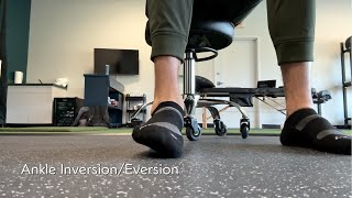 Ankle Inversion/Eversion