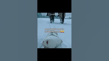 HBO Went TOO FAR 😱 Joel