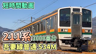 211系3000番台 吾妻線普通534M 金島～渋川間通過