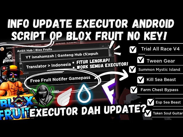 UPDATE ] BLOX FRUIT SCRIPT NO KEY & INFO UPDATE EXECUTOR ANDROID, AUTO  RACE V4