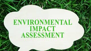 THE UNSEEN CRISIS   THE RIPPLE EFFECTS OF DEFORESTATION IN ZAMBIA