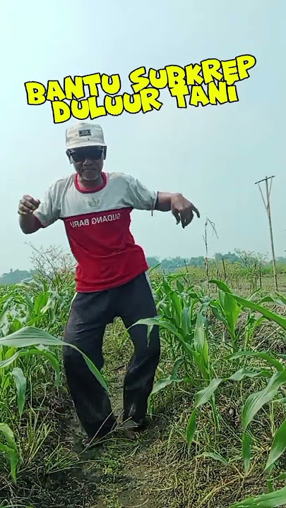 Kabeh E Moto Wes Kadung Eroh | Koplo