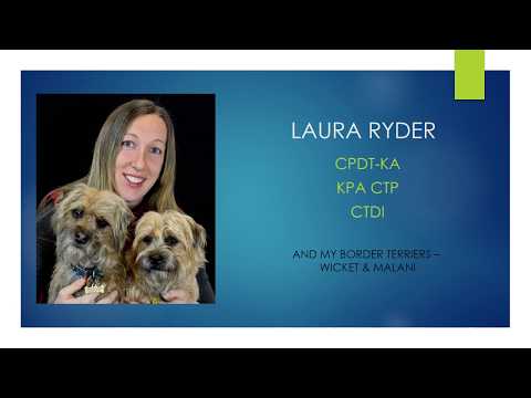 Video: Dog Decoder