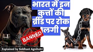 Govt bans 23 ‘ferocious’ dog breeds including pitbull, bulldog