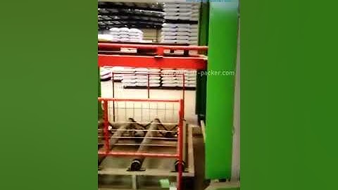 Automatic XYZ type big bag palletizing stacking machine testing video