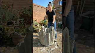 Easy DIY Cement Cactus Pot for Garden Decor I DIY Garden Ideas 🪴🌹🌿