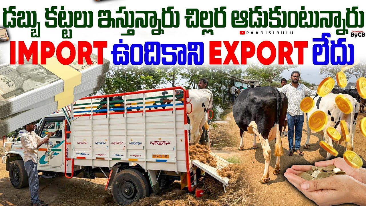 డైరీ పెట్టాలా 🤯మీరు🫵 పెట్టారు,మరి success వస్తుందా 😭🫂రావాలంటే?viral #hanumandairy#dairy#animals 