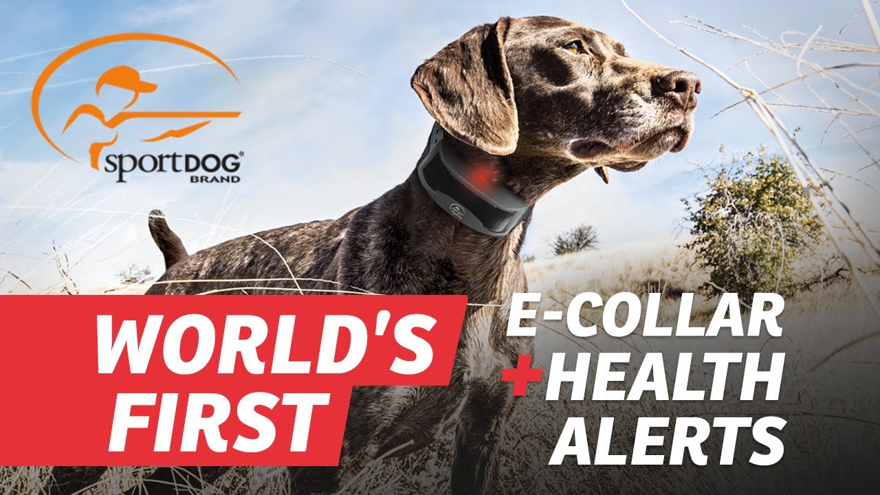 SportDOG® FieldSentinel™ Series with BodyGuard™ Health Alerts 