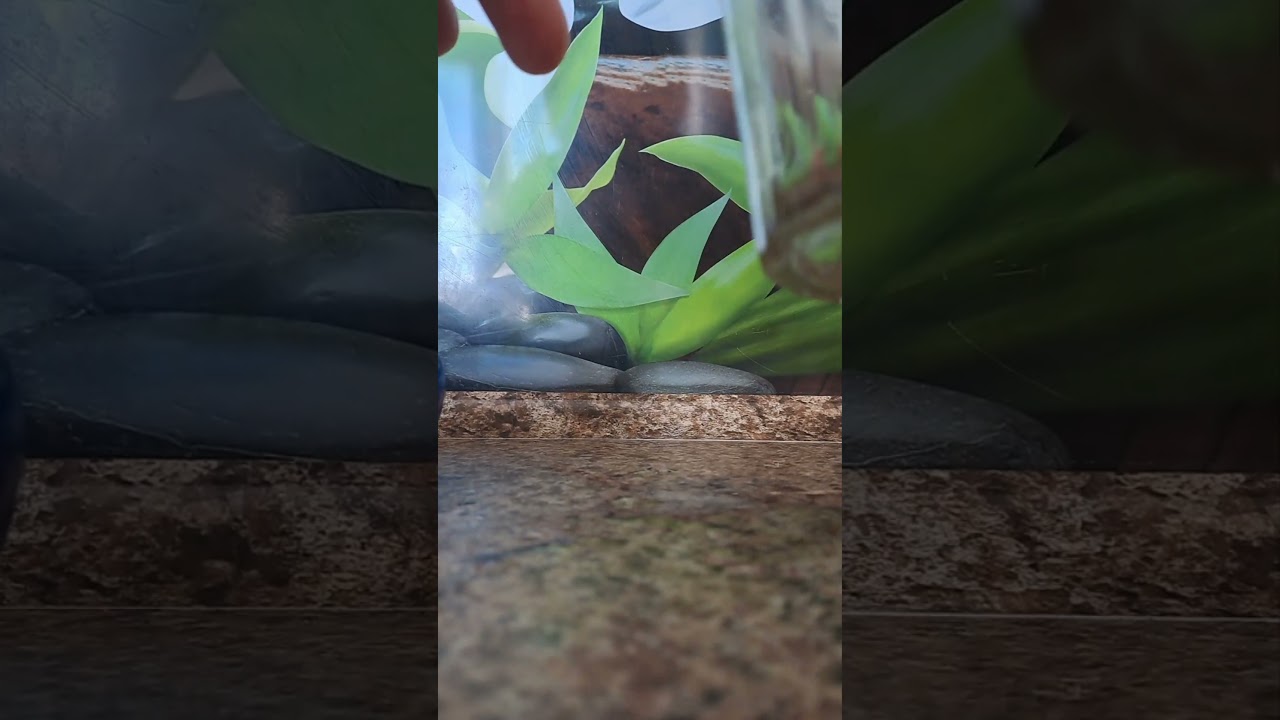 Favorite faceted glass 