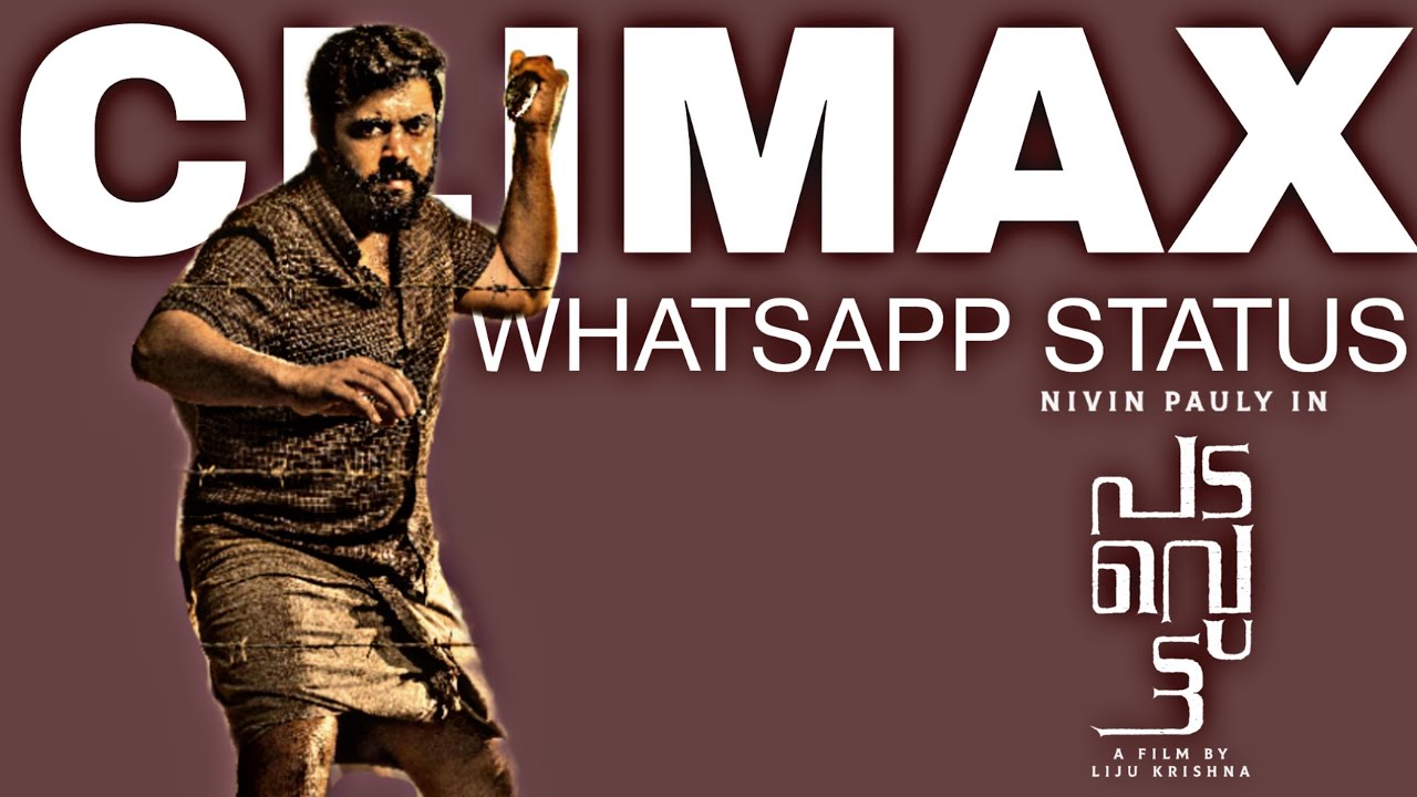 Padavettu Climax Whatsapp Status | Nivin Pauly | Padavettu Climax Nivin  Mass Scene | Zxy Media