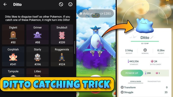 How to get ditto in pokemon go 2023 August update #pokemongo #pokemong