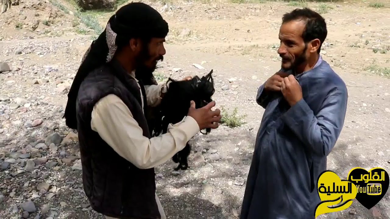 تموت من الضحك على جنانهم