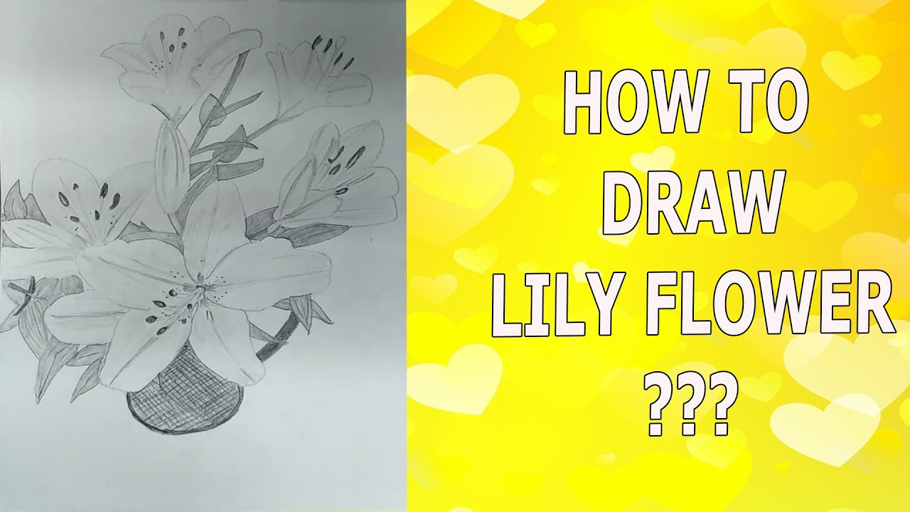 How to draw lily flower in a vase??? - YouTube