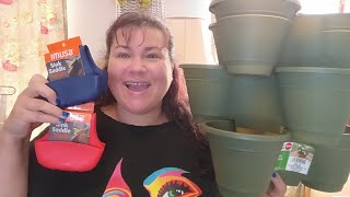 Dollar Tree Haul New Truck Arrivals