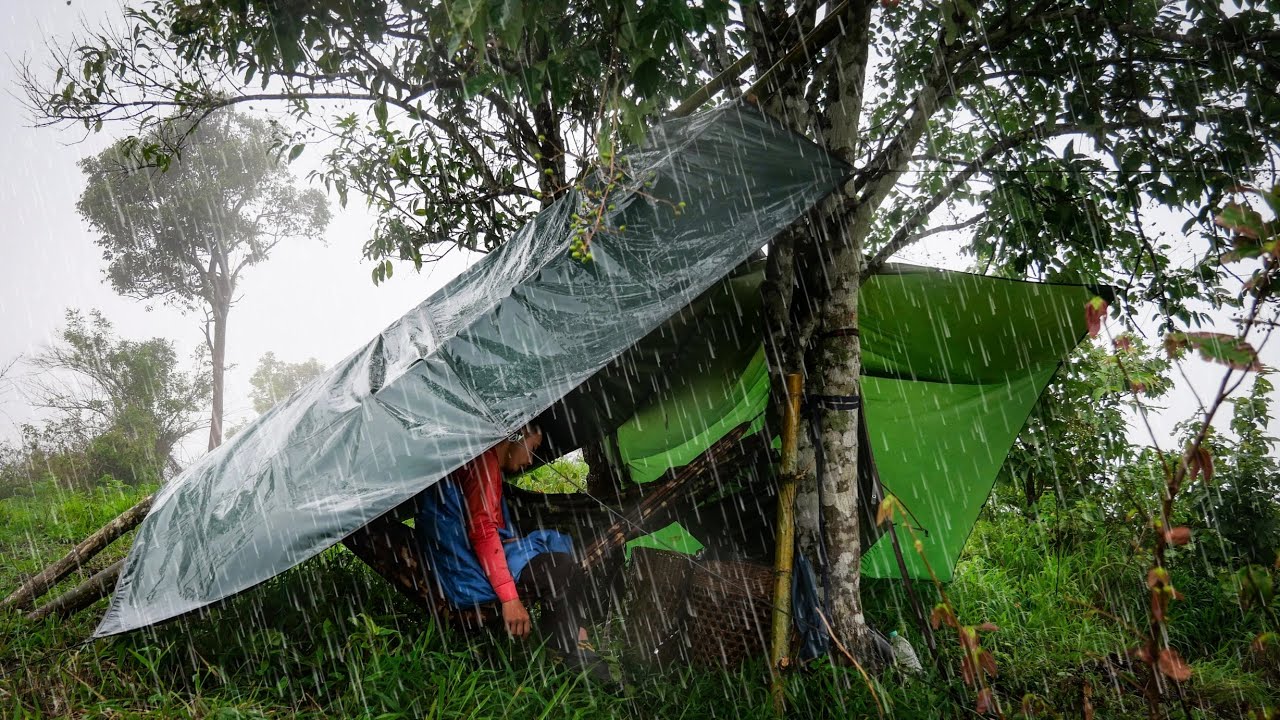 ผูกเปลนอนไม้ต้นเดียว3คนต้องวิธีนี้ หมอกลงหนักฝนตกปรอยๆทั้งคืน นอนหลับกันสบาย [วรวิช]